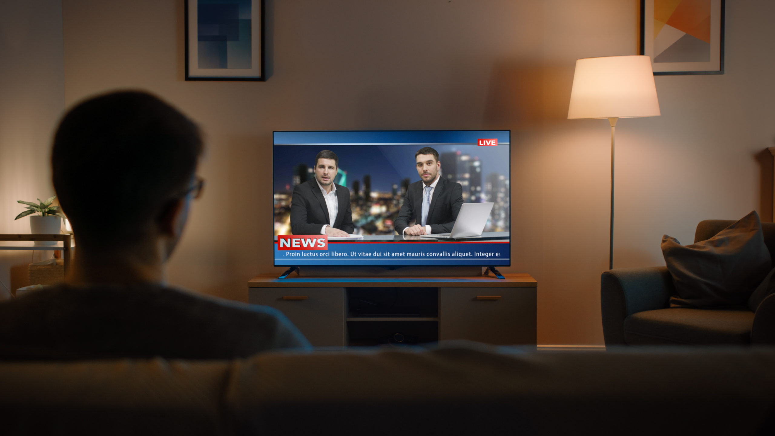 Young Man watching TV news on couch in living room