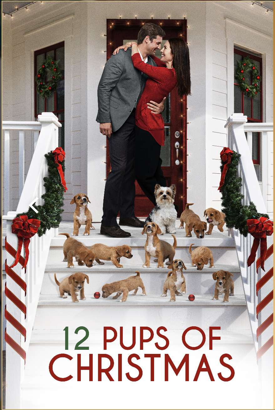Ion TV's Christmas movie marathons are packed with original stories